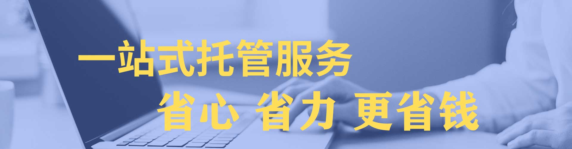 龙凤百度信息流